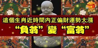 這個生肖近時間內正偏財運勢大漲,能負翁變富翁