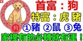 下半年(狗虎豬鼠兔)家裡有的就有運