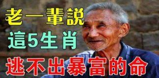 老一輩說,這五生肖命特別好