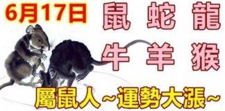 6月17日生肖運勢_鼠、蛇、龍大吉