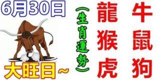6月30日生肖運勢_龍、牛、猴大吉