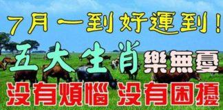 7月一到好運到,五大生肖樂無憂