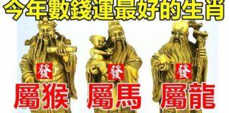 今年數錢運最好的生肖