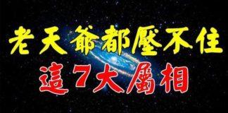 這七大屬相是富貴上等人