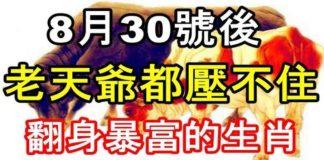 過了8月30號老天爺都壓不住,翻身暴富的生肖