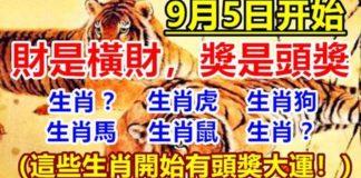 9月5日開始有頭獎大運的生肖,財是橫財,獎是頭獎