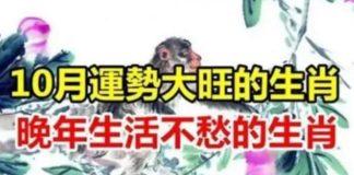10月運勢大旺的生肖,晚年生活不愁