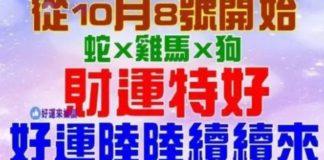10月8號開始財運特好,好運陸陸續續來的生肖