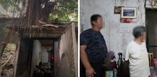 40年老房變樹屋!一家四口都智能不足「小弟當清潔工養全家」 悲揭身世「是名門望族後代」