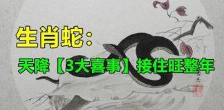 屬蛇人注意! 數十年一遇「3喜同降」接住旺足一整年