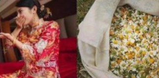 繼母對妹妹非常好,卻處處對我偏心,妹妹出嫁時繼母給了67萬,等到我結婚「卻只給我一包菊花茶」,原本心冷想斷絕關係,直到有天「老公說想喝茶」讓我瞬間地沉默