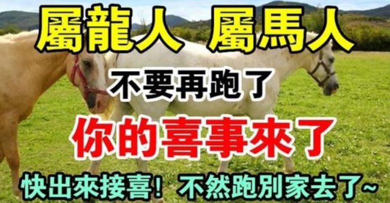 屬龍、屬馬人不要再跑了！你的喜事來了「喜上加喜」 快來接喜
