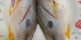 這是什麼魚?菜市場太吵「名稱沒聽清」自己隨便煎 網友見「料理後畫面」全暴動:太美了