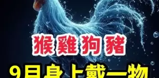 生肖「屬猴、屬雞、屬狗、屬豬人」9月身上戴一物,財運擋不住!