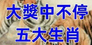 5月17 18 19號大獎中不停,踩了狗屎運的生肖!