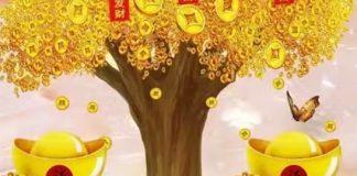 屬兔、龍、蛇、雞、狗人一定要謹記!不管錢包里有多少錢,記得要在裡面放這樣東西,第2天就會有橫財