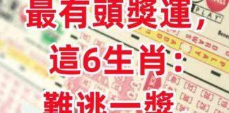 8月11 12 13日:最有頭獎運,這6生肖難逃一獎,快來接財