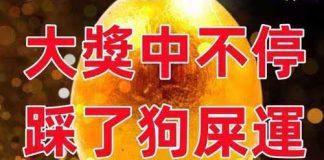 9月12 13 14號大獎中不停,踩了狗屎運的生肖~