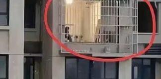17樓「裝防盜窗」遭投訴!鄰居笑他多此一舉,得知真相後羞愧不已:這道防盜窗裝得值