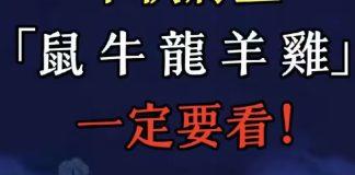 中秋將至「屬鼠 屬牛 屬龍 屬羊 屬雞」一定要看!