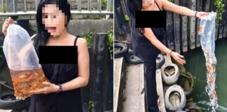 聽命理師的話!新北女買上百隻「放生碧潭」:全是為了我母親 動保怒開罰