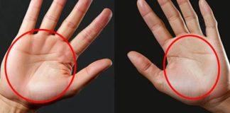 從「掌心凹凸」看出你的後半生:享清福或是辛苦命?