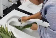 店家「馬桶裡洗粽葉」畫面瘋傳!老闆挨轟「竟暴怒反嗆」理由網傻眼