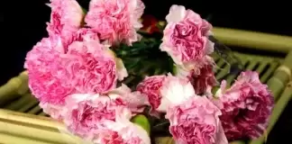 7月16日起財運暴漲,鴻運當頭,3大生肖橫財大發,大吉大利,工作有成效