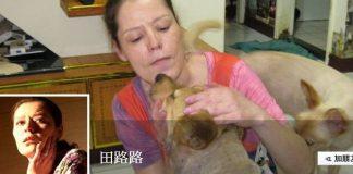 68歲《五燈獎》資深藝人「變低收入戶」!「剪舊衣當衛生紙」腹瀉失禁急送醫