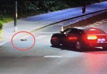 代駕10分鐘路程「司機開1小時」!乘客卻大讚:做得好